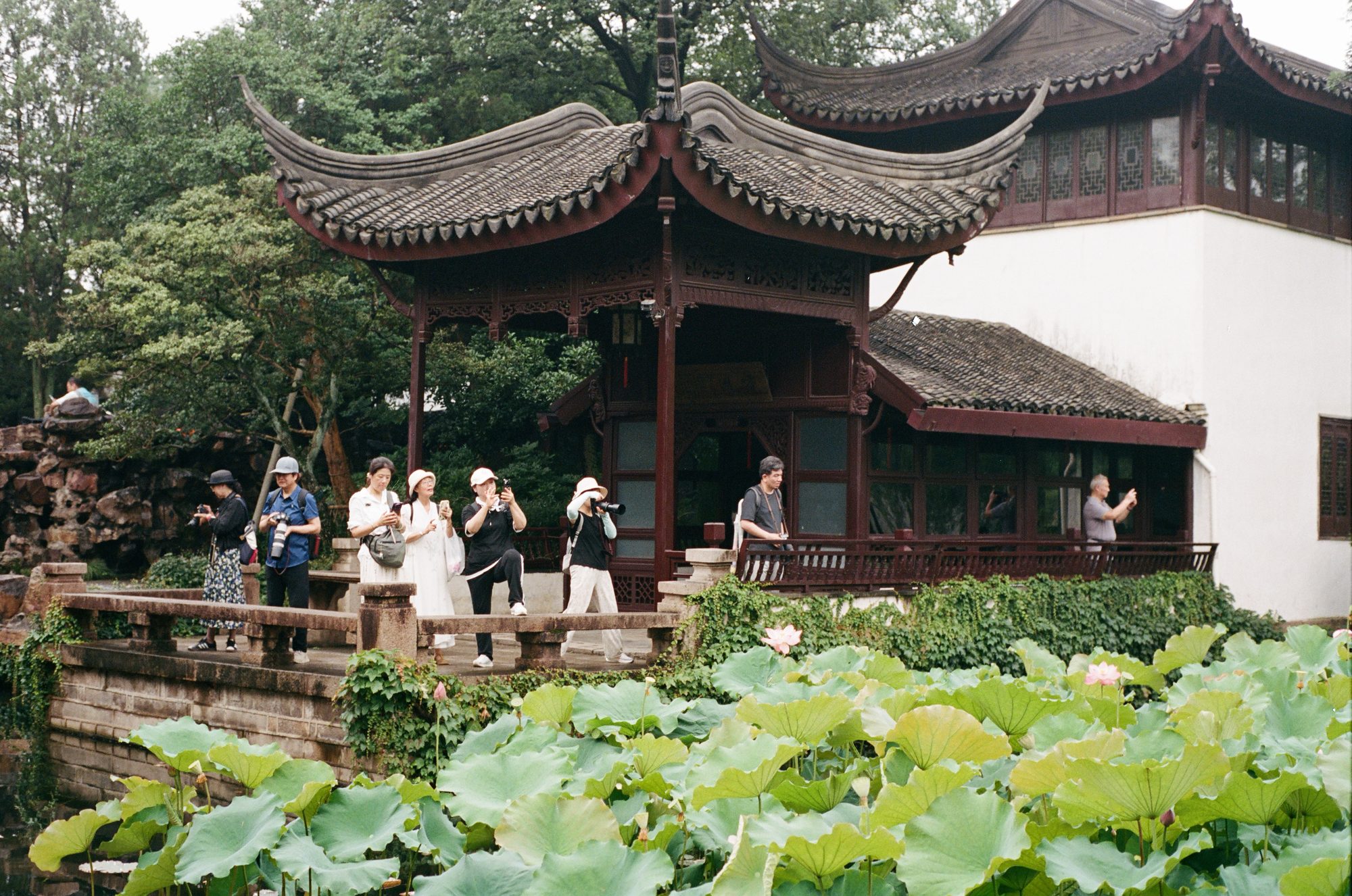 A garden pavilion over a lotus pond, visitors on the terrace
