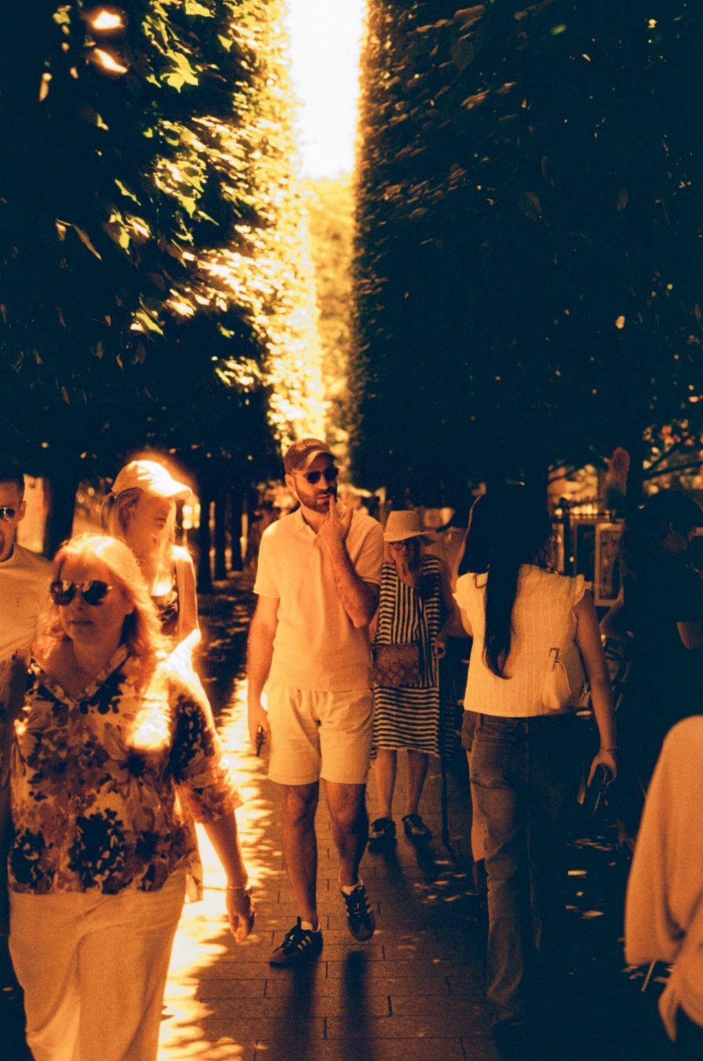 People walking a sun-dappled tree-lined path in redscale